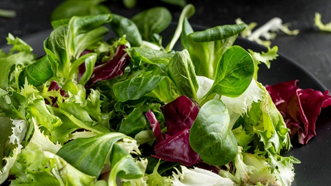 Salade