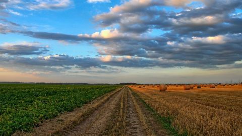 Analyses environnementales