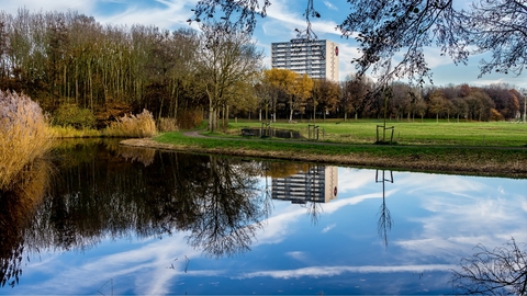 Etang dans une ville
