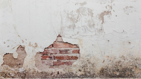 Mur moisi