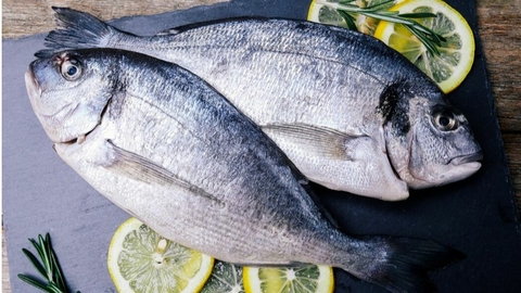 Poissons.jpeg